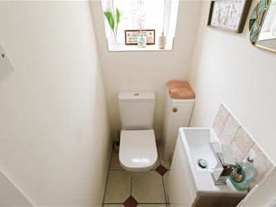 Picture 7